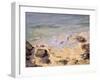 Emerald Coast-Bob Brown-Framed Giclee Print