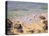 Emerald Coast-Bob Brown-Stretched Canvas