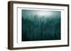 Emerald Forest-Kimberly Allen-Framed Art Print