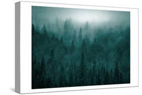Emerald Forest-Kimberly Allen-Stretched Canvas