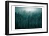 Emerald Forest-Kimberly Allen-Framed Premium Giclee Print