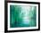 Emerald Hart-Gill Bustamante-Framed Art Print