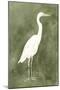 Emerald Heron III-Emma Caroline-Mounted Art Print