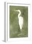 Emerald Heron IV-Emma Caroline-Framed Art Print