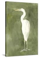 Emerald Heron IV-Emma Caroline-Stretched Canvas