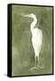 Emerald Heron IV-Emma Caroline-Framed Stretched Canvas