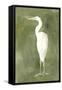 Emerald Heron IV-Emma Caroline-Framed Stretched Canvas