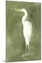 Emerald Heron IV-Emma Caroline-Mounted Art Print