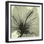 Emerald Hibiscus-Albert Koetsier-Framed Photographic Print