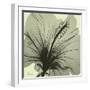 Emerald Hibiscus-Albert Koetsier-Framed Photographic Print