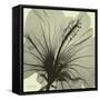 Emerald Hibiscus-Albert Koetsier-Framed Stretched Canvas