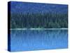 Emerald Lake Boathouse, Yoho National Park, British Columbia, Canada-Rob Tilley-Stretched Canvas