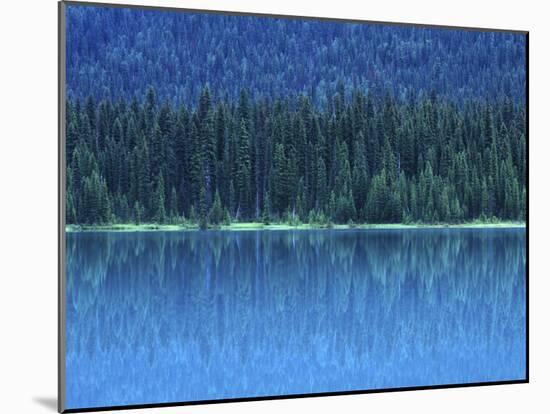 Emerald Lake Boathouse, Yoho National Park, British Columbia, Canada-Rob Tilley-Mounted Premium Photographic Print