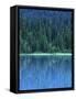 Emerald Lake Boathouse, Yoho National Park, British Columbia, Canada-Rob Tilley-Framed Stretched Canvas
