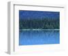 Emerald Lake Boathouse, Yoho National Park, British Columbia, Canada-Rob Tilley-Framed Photographic Print