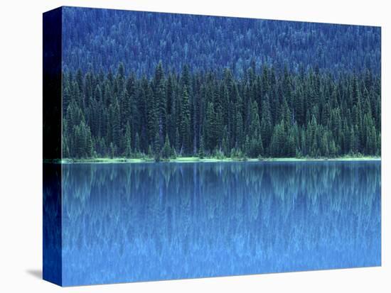 Emerald Lake Boathouse, Yoho National Park, British Columbia, Canada-Rob Tilley-Stretched Canvas