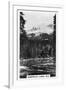 Emerald Lake Near Field, British Columbia, Canada, C1920S-null-Framed Giclee Print