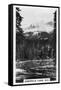 Emerald Lake Near Field, British Columbia, Canada, C1920S-null-Framed Stretched Canvas
