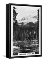 Emerald Lake Near Field, British Columbia, Canada, C1920S-null-Framed Stretched Canvas