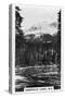 Emerald Lake Near Field, British Columbia, Canada, C1920S-null-Stretched Canvas