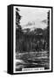 Emerald Lake Near Field, British Columbia, Canada, C1920S-null-Framed Stretched Canvas