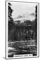 Emerald Lake Near Field, British Columbia, Canada, C1920S-null-Mounted Giclee Print