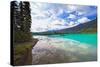 Emerald Lake Reflections, Canada-George Oze-Stretched Canvas