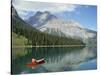 Emerald Lake, Yoho National Park, British Columbia, Canada-null-Stretched Canvas