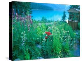 Emerald Lake, Yoho National Park, British Columbia-Rob Tilley-Stretched Canvas