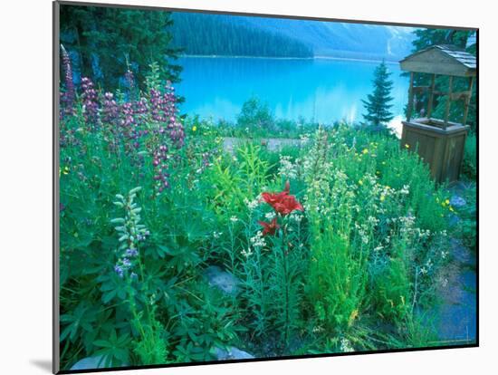 Emerald Lake, Yoho National Park, British Columbia-Rob Tilley-Mounted Photographic Print