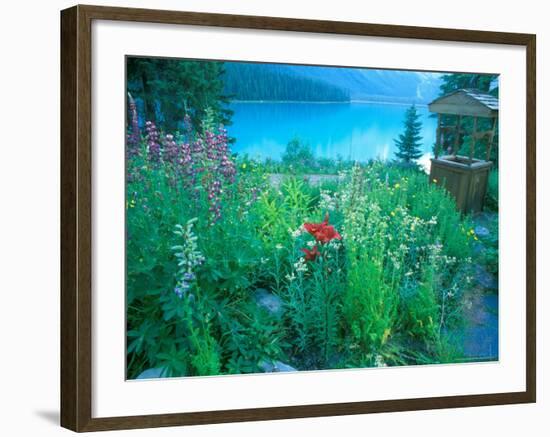 Emerald Lake, Yoho National Park, British Columbia-Rob Tilley-Framed Photographic Print