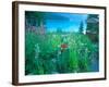 Emerald Lake, Yoho National Park, British Columbia-Rob Tilley-Framed Photographic Print