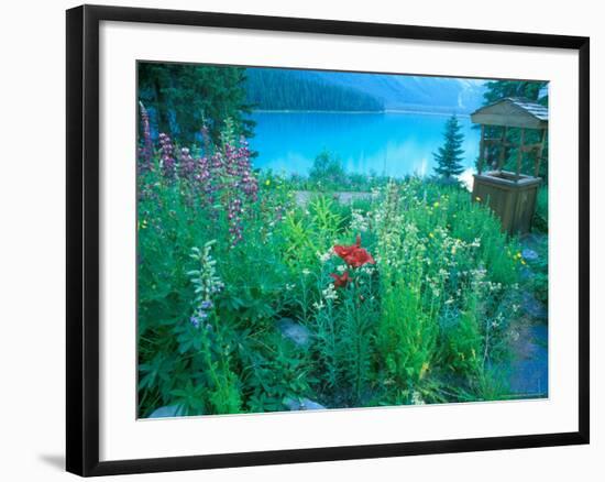 Emerald Lake, Yoho National Park, British Columbia-Rob Tilley-Framed Photographic Print