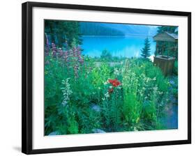 Emerald Lake, Yoho National Park, British Columbia-Rob Tilley-Framed Photographic Print