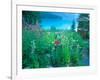 Emerald Lake, Yoho National Park, British Columbia-Rob Tilley-Framed Photographic Print