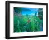 Emerald Lake, Yoho National Park, British Columbia-Rob Tilley-Framed Photographic Print