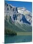 Emerald Lake, Yoho National Park, Rocky Mountains, British Columbia, Canada-Anthony Waltham-Mounted Photographic Print