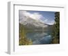 Emerald Lake, Yoho National Park, Rocky Mountains, British Columbia, Canada-Tony Waltham-Framed Photographic Print