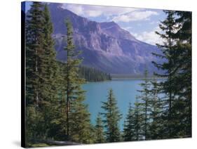 Emerald Lake, Yoho National Park, Unesco World Heritage Site, British Columbia (B.C.), Canada-Robert Harding-Stretched Canvas
