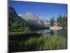 Emerald Lake, Yoho National Park, UNESCO World Heritage Site, British Columbia, Canada-Hans Peter Merten-Mounted Photographic Print