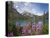 Emerald Lake, Yoho National Park, UNESCO World Heritage Site, British Columbia, Rocky Mountains, Ca-Martin Child-Stretched Canvas