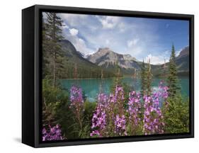 Emerald Lake, Yoho National Park, UNESCO World Heritage Site, British Columbia, Rocky Mountains, Ca-Martin Child-Framed Stretched Canvas