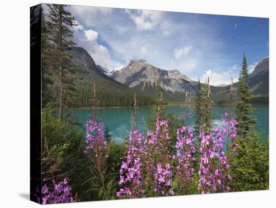 Emerald Lake, Yoho National Park, UNESCO World Heritage Site, British Columbia, Rocky Mountains, Ca-Martin Child-Stretched Canvas