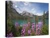 Emerald Lake, Yoho National Park, UNESCO World Heritage Site, British Columbia, Rocky Mountains, Ca-Martin Child-Stretched Canvas