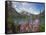 Emerald Lake, Yoho National Park, UNESCO World Heritage Site, British Columbia, Rocky Mountains, Ca-Martin Child-Framed Stretched Canvas