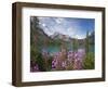 Emerald Lake, Yoho National Park, UNESCO World Heritage Site, British Columbia, Rocky Mountains, Ca-Martin Child-Framed Photographic Print