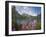 Emerald Lake, Yoho National Park, UNESCO World Heritage Site, British Columbia, Rocky Mountains, Ca-Martin Child-Framed Photographic Print