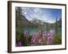 Emerald Lake, Yoho National Park, UNESCO World Heritage Site, British Columbia, Rocky Mountains, Ca-Martin Child-Framed Photographic Print