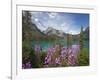 Emerald Lake, Yoho National Park, UNESCO World Heritage Site, British Columbia, Rocky Mountains, Ca-Martin Child-Framed Photographic Print