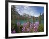 Emerald Lake, Yoho National Park, UNESCO World Heritage Site, British Columbia, Rocky Mountains, Ca-Martin Child-Framed Photographic Print